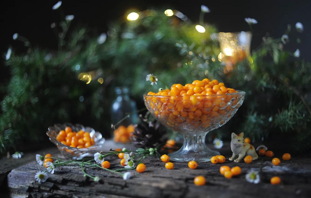 ���������� ������ � ���������: ������� ������� � �������� �� ����� ����