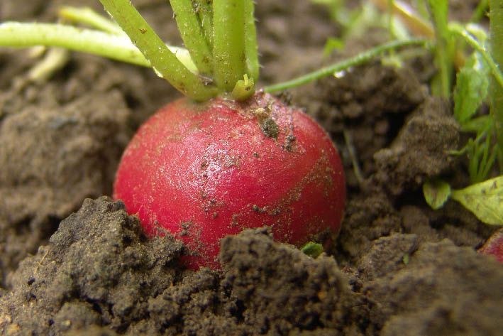 �����: ��� ������ ����� ���������