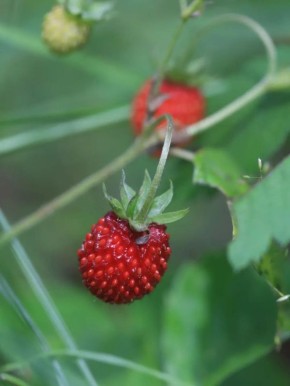 �������� ���: ����� � ������ ��� ����� �����