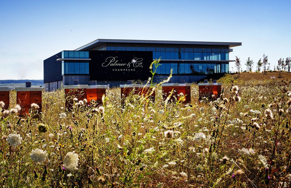 ������������ ���������: ��� ������ ����������� ������ �������