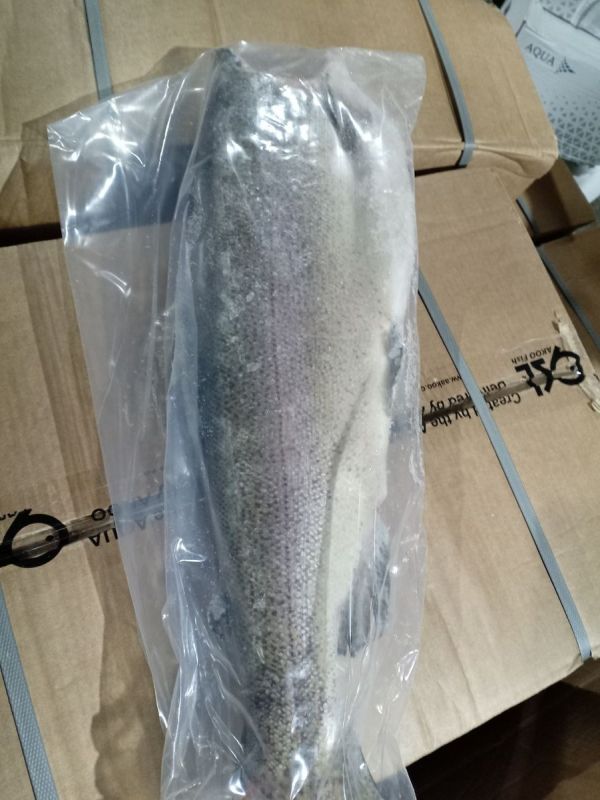 �������� ������: ������������ ����� ��� ��������