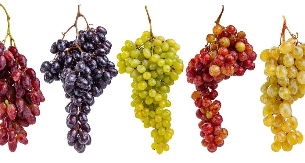 ��������: ��� ������ � ��������