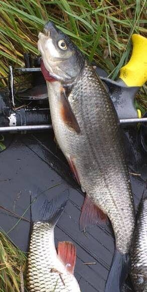 ��������� ������� �� �������: ��� �� ���������� ����?