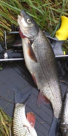 Необычная находка на водоеме: что за загадочная рыба?