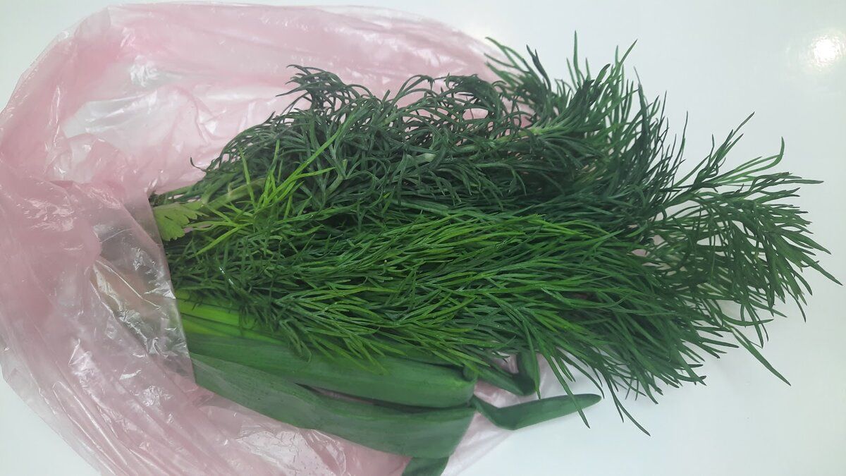 ������� ������ ������: ��� ��������� ������ � ����� ���� �� ������ �����