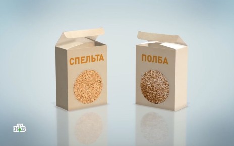 Полба и спельта: как раскрыть настоящий вкус древних злаков