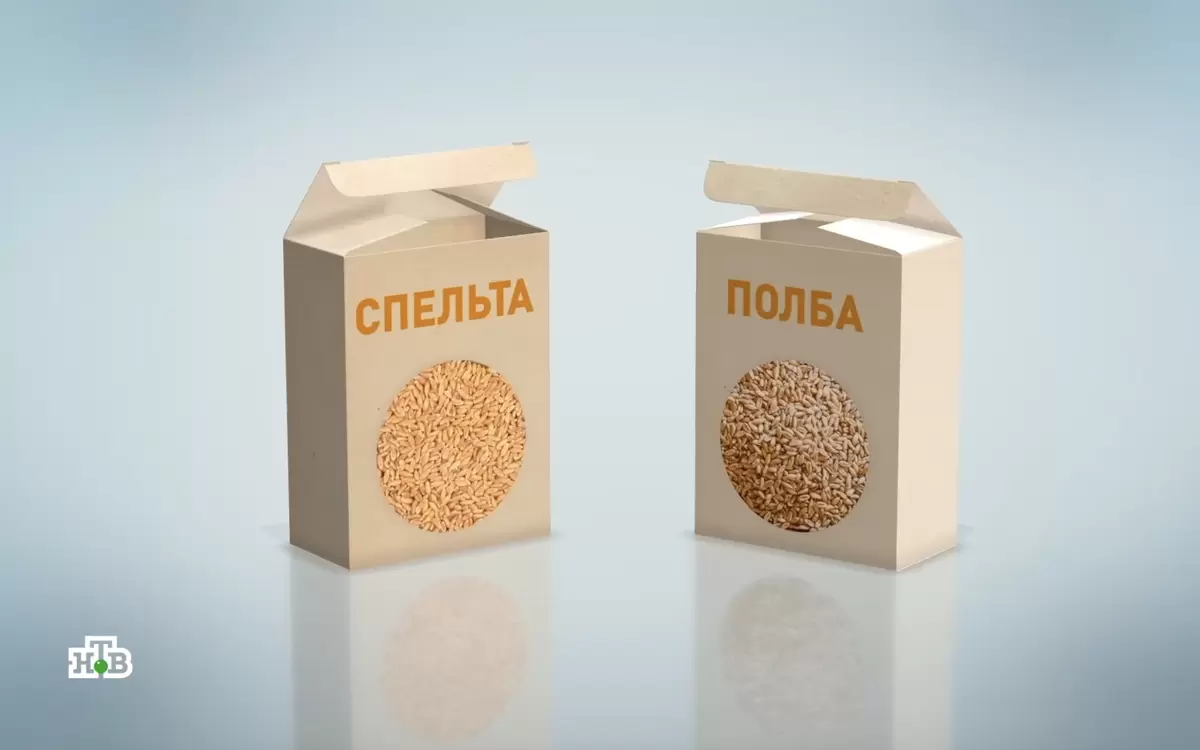 Полба и спельта: как раскрыть настоящий вкус древних злаков