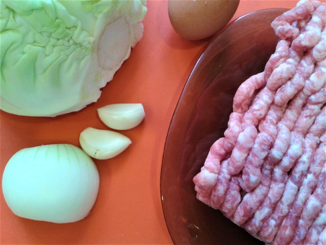 ������ ������� � ��������: ������, ������ � �������