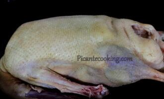 ����, ������������� �������: ��������� ����������� �����