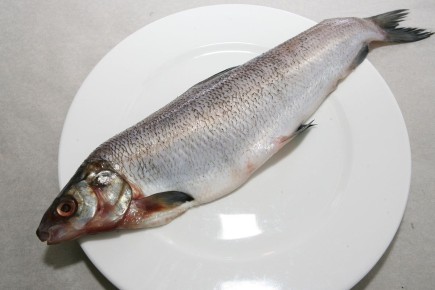 Как выбрать безопасную рыбу: советы диетолога