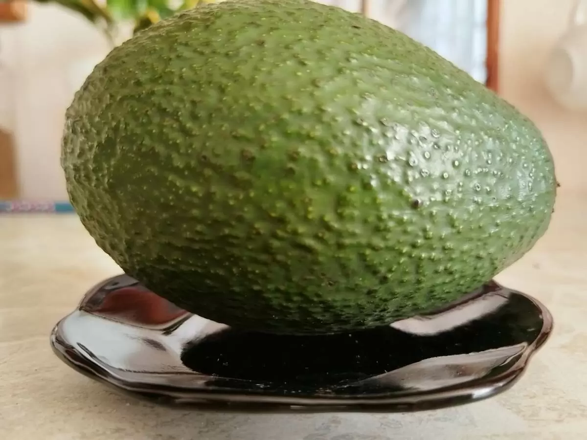 Как выбрать спелое авокадо: полезные советы для гурманов