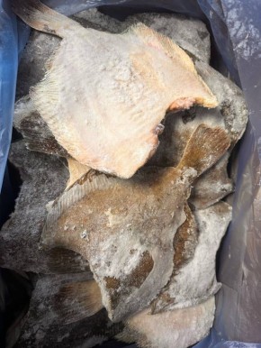 ������� ������������: ������� �������� ����!