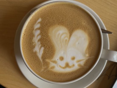 ����� �������� ������ ����� � ������: ���������� ������ �� �������� ���������