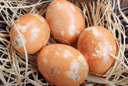 ����������� ���������: ��� ������� ���������� ���� � ������� ������� � ������� ������