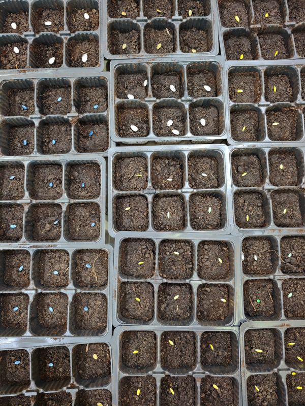 �������� ������: ������, ������ � ���� ��������� ����� gardening �����