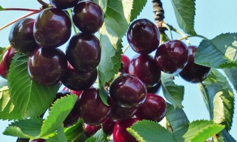 ����� ��������� ������ ������� ��� �������� �������