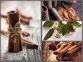 Корица: секреты, неожиданная история и ее ценность в современном мире