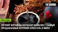 Байцзю: символ китайской культуры